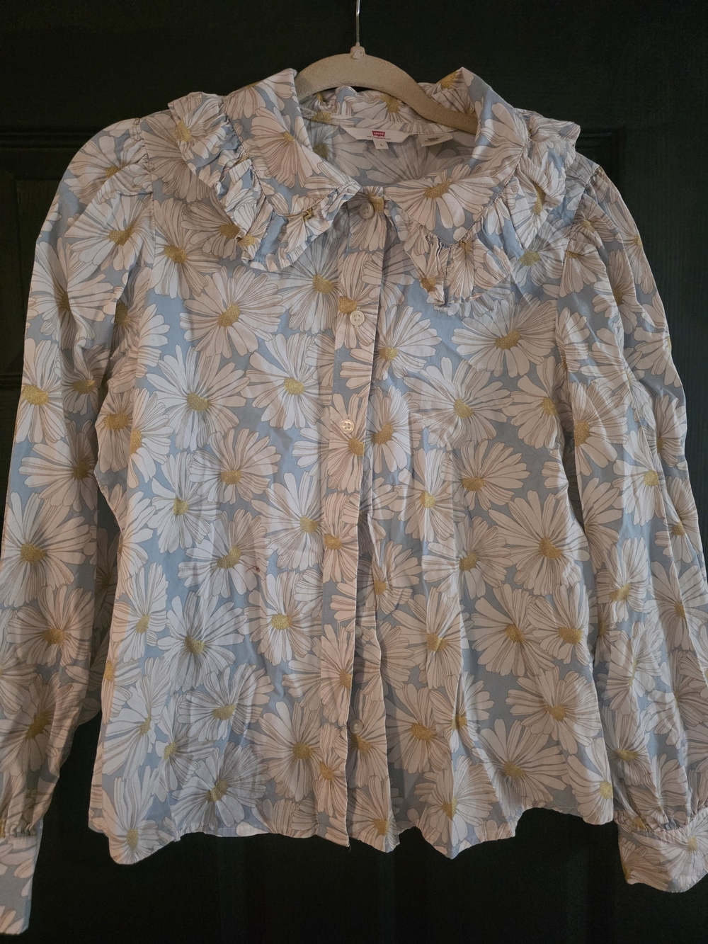Levi's Blue Daisy Print Ruffled Blouse